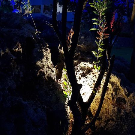 Asteraki Aparthotel Gouvia Dış mekan fotoğraf